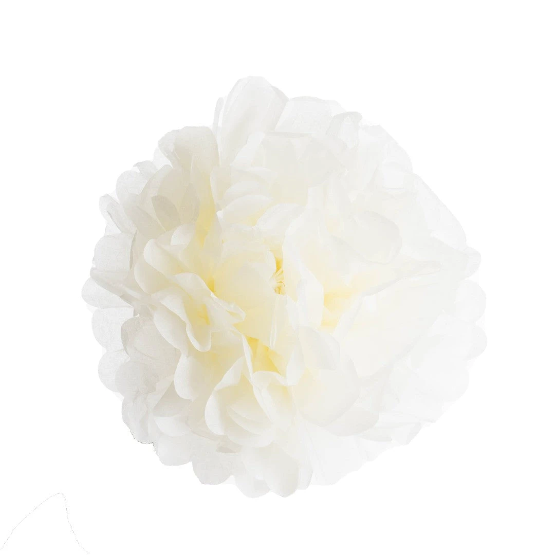 Bodysocks Tropical Party Pack 3 Bodysocks Tropical Party Pack