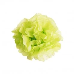 Bodysocks Tropical Party Pack 11 Bodysocks Tropical Party Pack