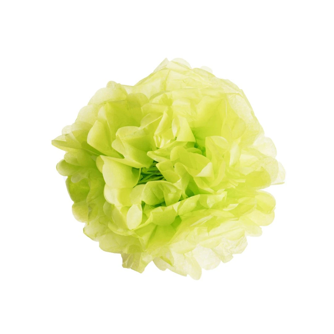 Bodysocks Tropical Party Pack 5 Bodysocks Tropical Party Pack